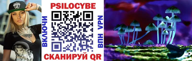 Псилоцибиновые грибы Cubensis  darknet как зайти  Кировск  купить наркотик  hydra ссылки 