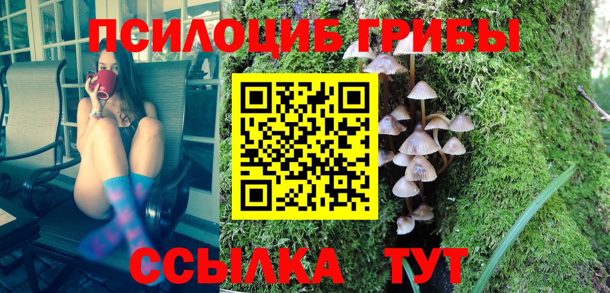 наркотики  Галлюциногенные грибы Cubensis  Вход с VPN  Кировск 