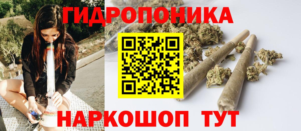 Каннабис OG Kush Кировск